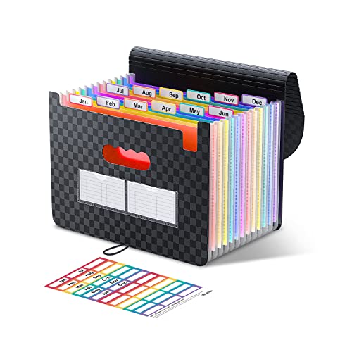Accordion File Organizer