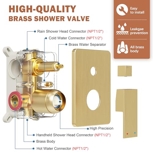Rain Shower System with Handheld & Valve