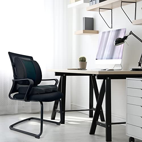 Back Support Cushion