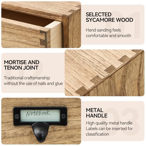 Desktop Storage Cabinet