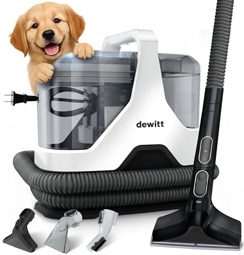 Carpet Cleaner