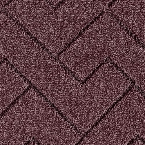 Dirt Trapping Door Mat Indoor Entrance