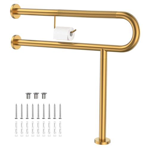Toilet Grab Bar
