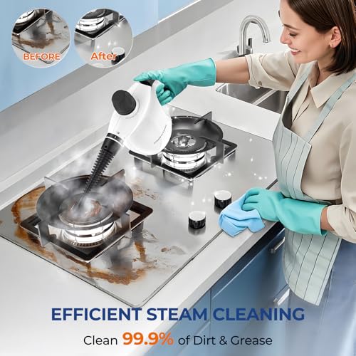 Steam Cleaner