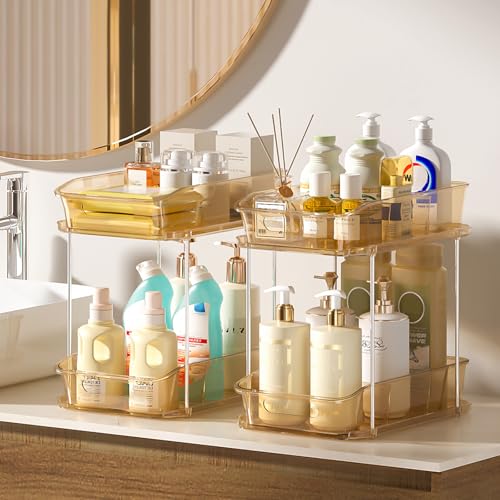 2 Tier Under Sink Organizers and Storage