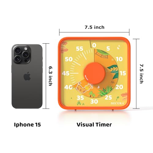 60 Minute Visual Countdown Timer
