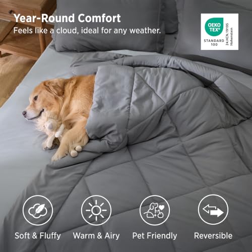 Comforter Set