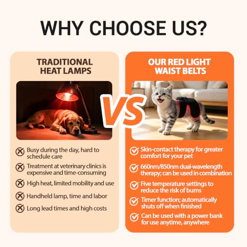 Dog Hip Brace with Red Light Therapy