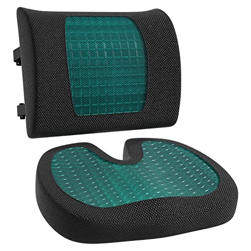 Back Support Cushion