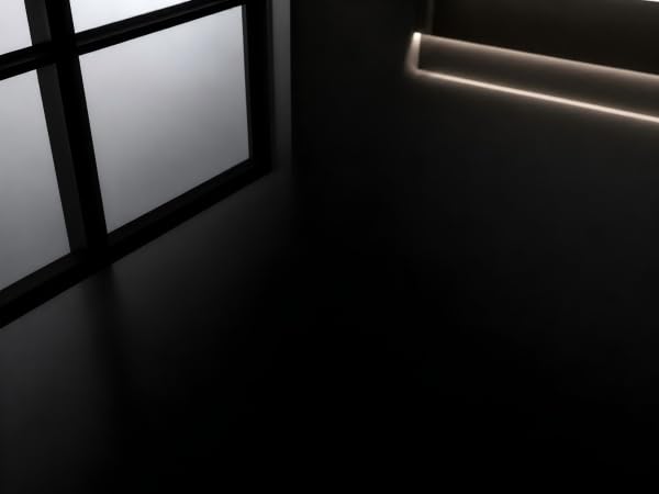 Shoe Cabinet with Doors