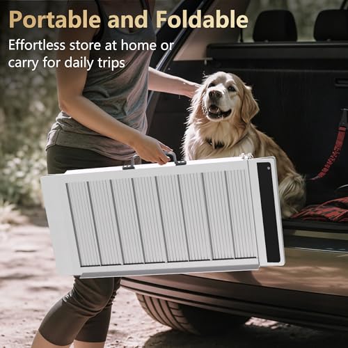 Portable Wheelchair Ramp
