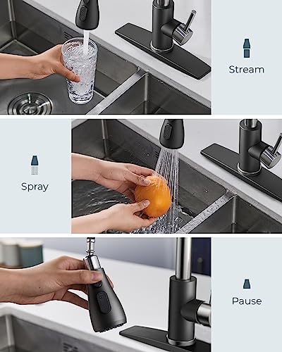 Kitchen Faucets with Pull Down Sprayer