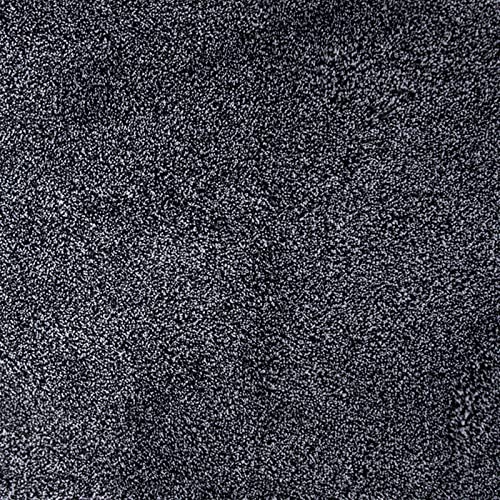Dirt Trapping Indoor Door Mat