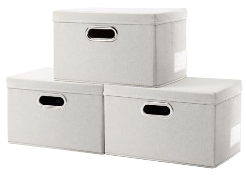 Storage Bins with Lids [3