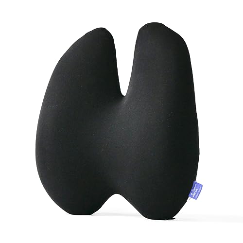 Cushion Lab Extra Dense Lumbar Pillow