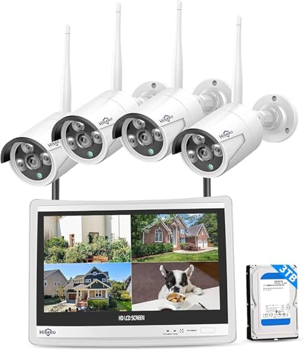 Security Camera System with LCD
