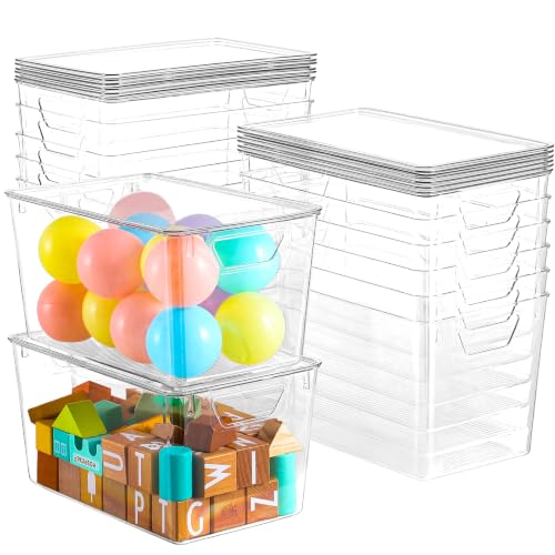 Storage Bins with Lids
