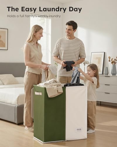 Double Laundry Hamper with Lid and Handle
