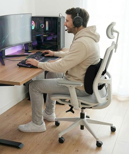 The Original Lumbar Support Pillow