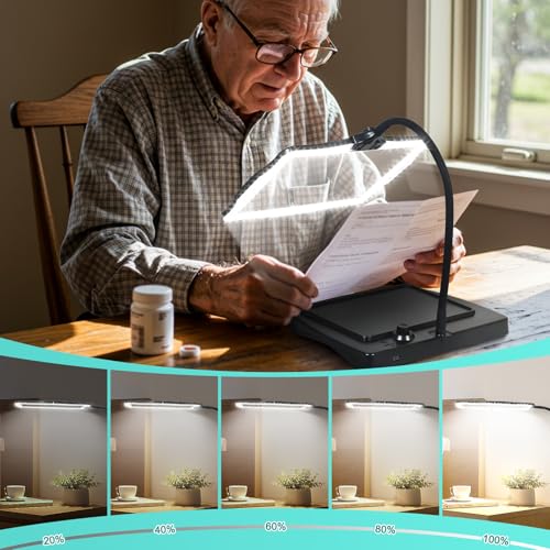 Desk Magnifying Glass with Light and Stand