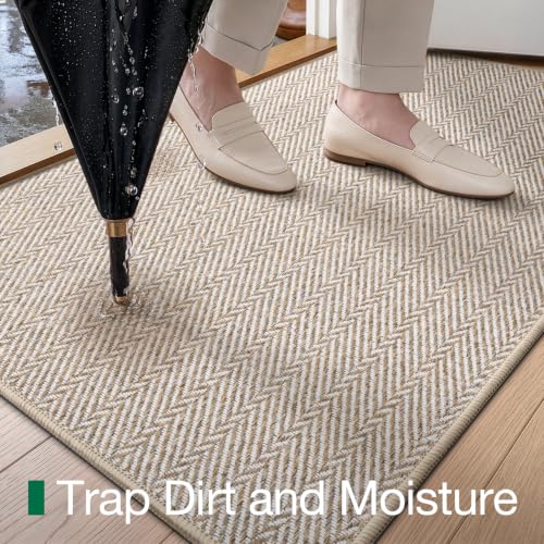 Ultra Thin Indoor Door Mat