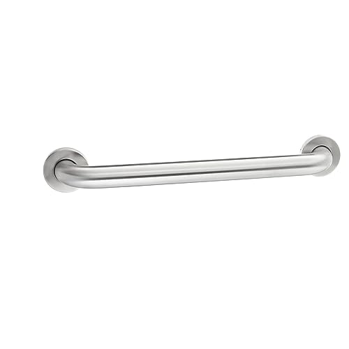 Bathroom Handicap Safety Grab Bar