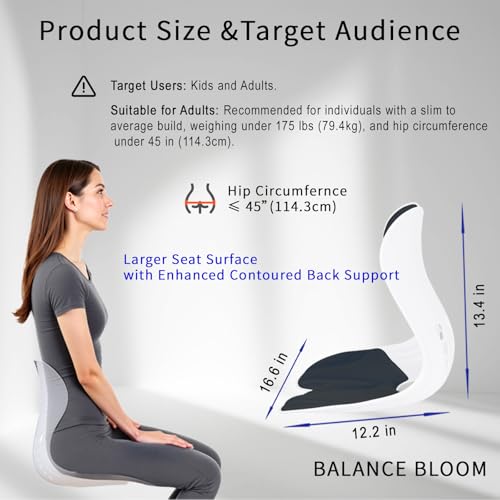 Ergonomic Back Support for Office Chair Cushion with Lumbar Pillow