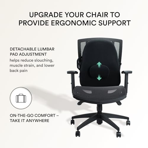 Obus Forme Lowback Backrest Support