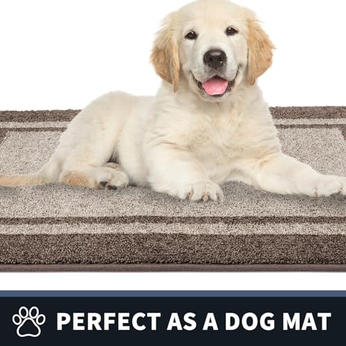 Dirt Trapping Indoor Door Mat