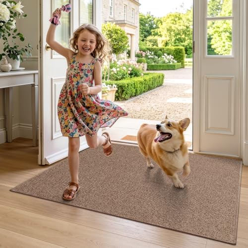 Ultra Thin Door Mat for Entryway
