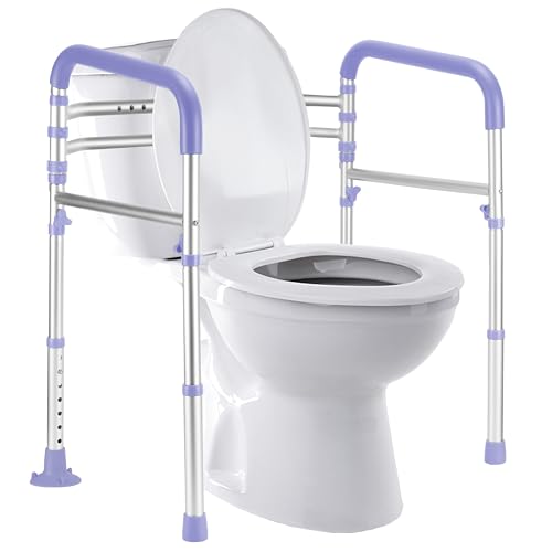 Toilet Safety Rails