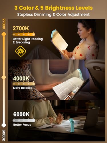 Book Lights for Reading at Night