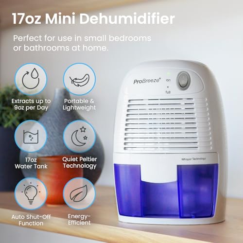 Electric Dehumidifier for Home