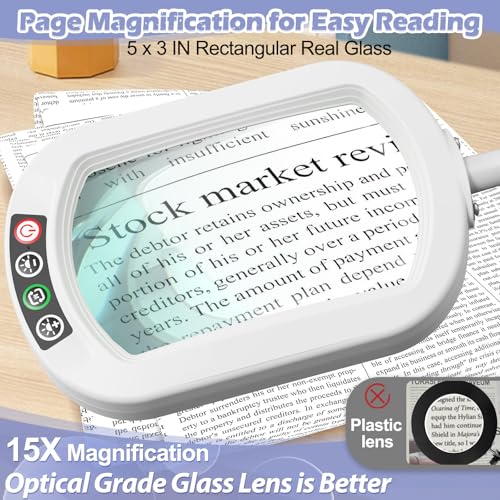 Rectangular Real Glass Magnifying Glass with Light and Stand