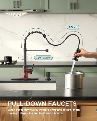 Kitchen Faucet with Pull Down Sprayer