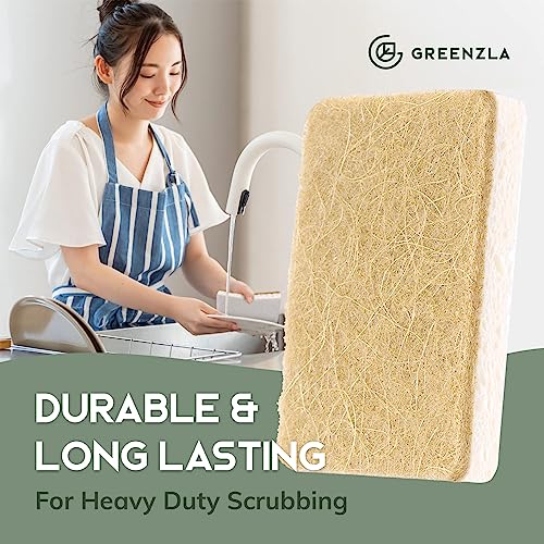 Natural Sponges