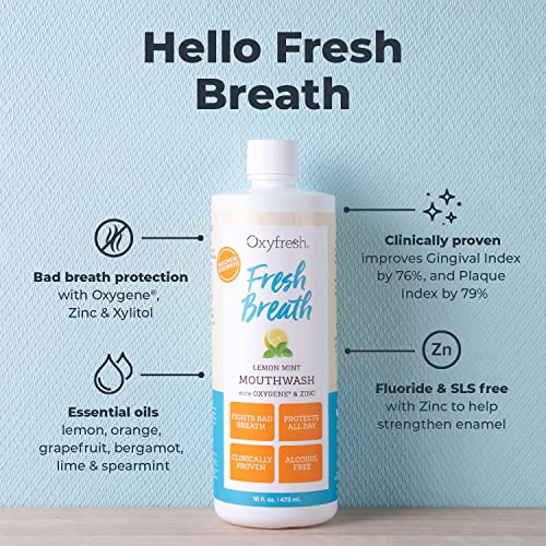 Lemon Mint Fresh Breath Mouthwash
