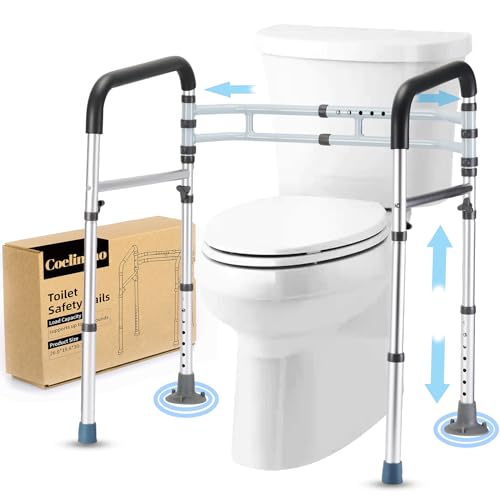 Toilet Safety Rails