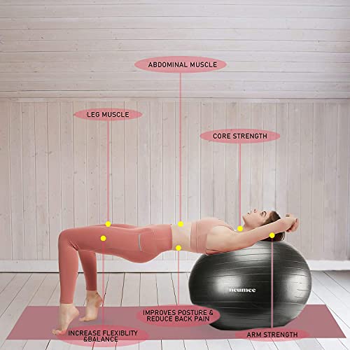 Yoga Ball Chair with 65cm Exercise Ball & 2 Resistance Bands