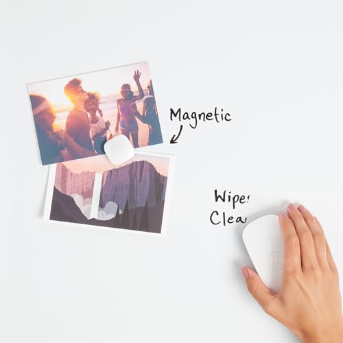 Contempo Magnetic Dry Erase Board