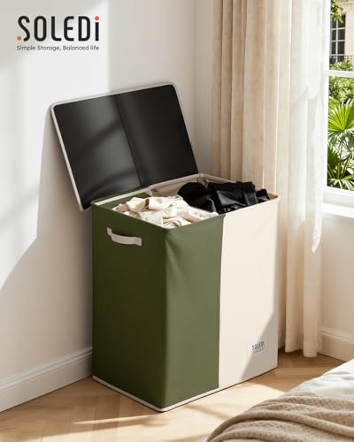 Double Laundry Hamper with Lid and Handle