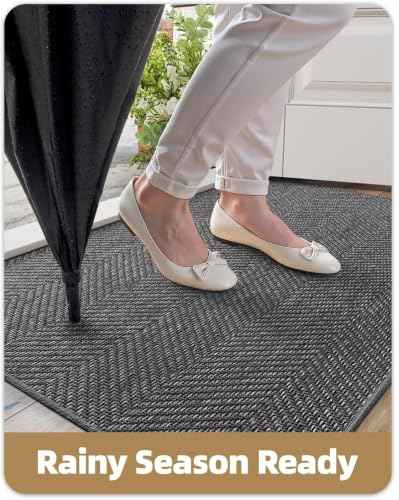 Ultra Thin Indoor Door Mat
