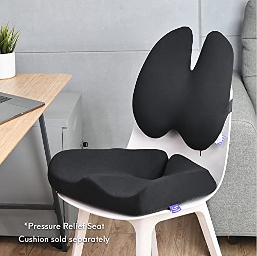 Cushion Lab Extra Dense Lumbar Pillow