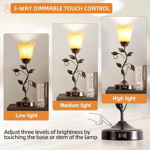 Touch Control Table Lamp with 2 USB Charging Ports
