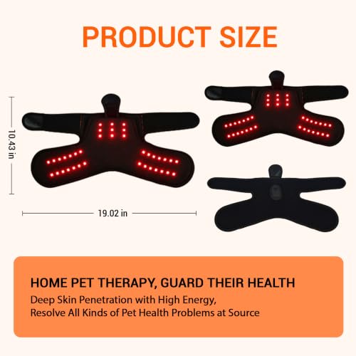 Dog Hip Brace with Red Light Therapy