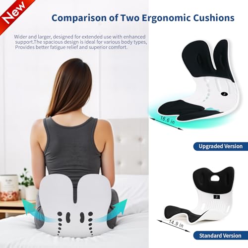 Ergonomic Back Support for Office Chair Cushion with Lumbar Pillow
