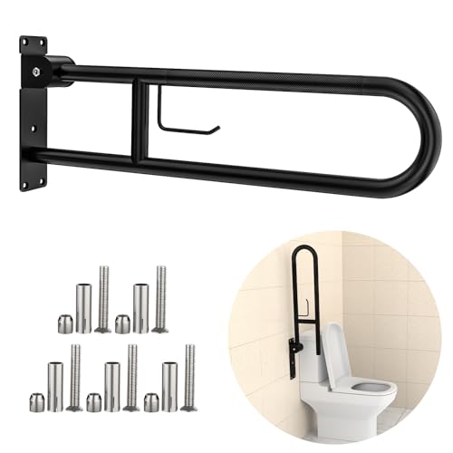 Toilet Grab Bar