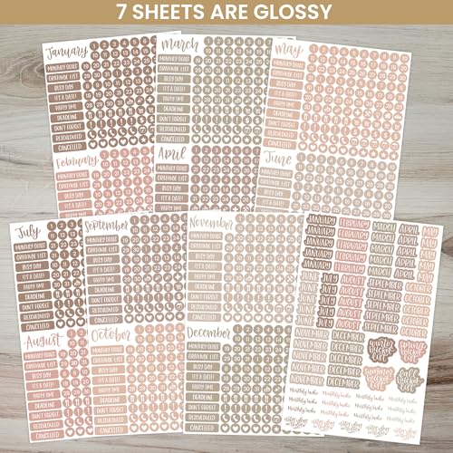 Calendar Essentials Planner Stickers