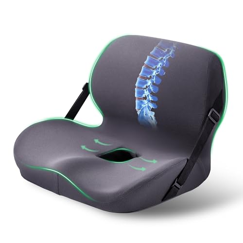 Seat and Back Cushion