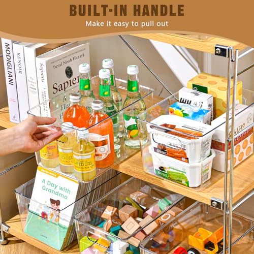 Storage Bins with Lids